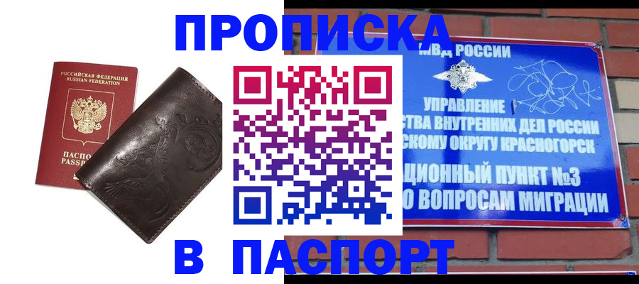 миграционный учет в Светлогорске
